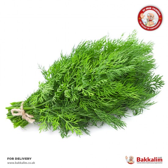 Daily Fresh 1 Bunch Dill Krebs SAMA FOODS ENFIELD UK