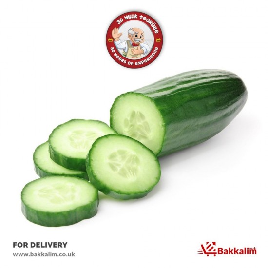 Fresh 2 Pieces Long Cucumber SAMA FOODS ENFIELD UK