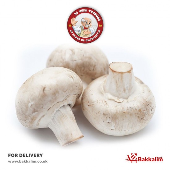 Fresh 500 Gr Mushroom SAMA FOODS ENFIELD UK