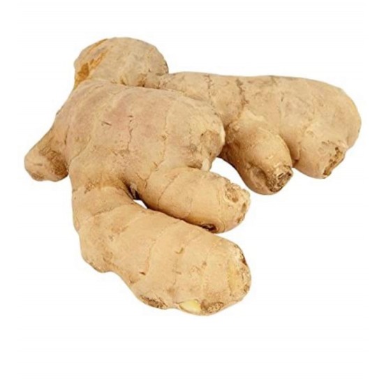 Ginger 500gr SAMA FOODS ENFIELD UK