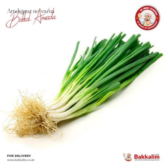 Spring Onions 1 Batch SAMA FOODS ENFIELD UK